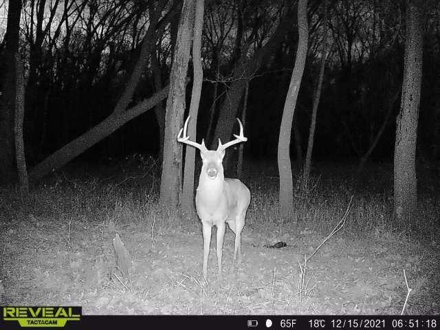 0 Old River Road Rockville, MO 64780 - Photo 55 of 70