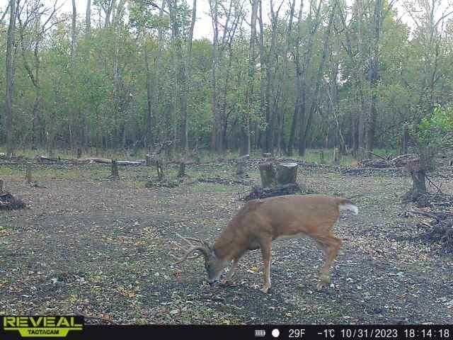 0 Old River Road Rockville, MO 64780 - Photo 57 of 70