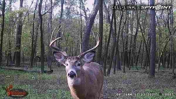 0 Old River Road Rockville, MO 64780 - Photo 58 of 70