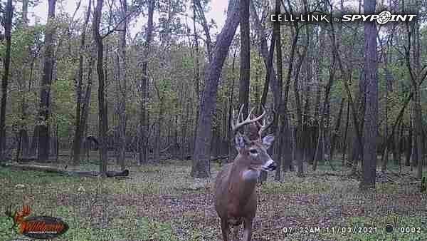 0 Old River Road Rockville, MO 64780 - Photo 59 of 70