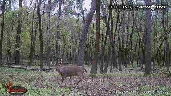 0 Old River Road Rockville, MO 64780 - Photo 60 of 70