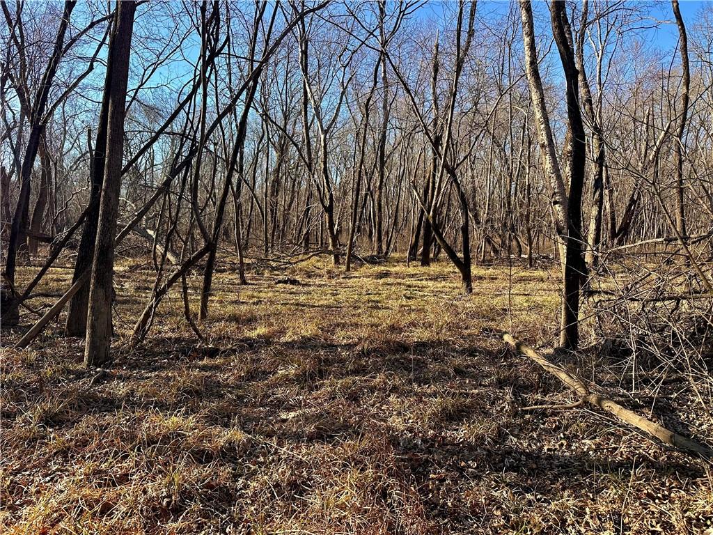 0 Old River Road Rockville, MO 64780 - Photo 6 of 46