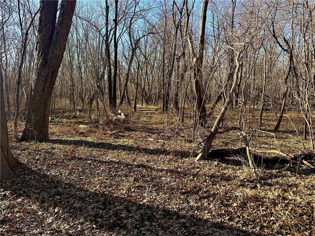 0 Old River Road Rockville, MO 64780 - Photo 6 of 70