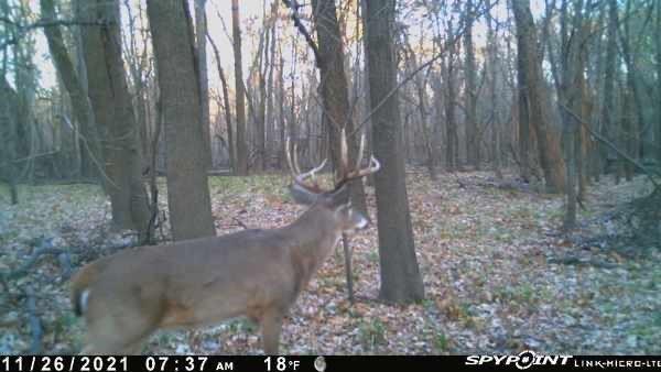 0 Old River Road Rockville, MO 64780 - Photo 62 of 70