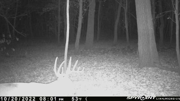 0 Old River Road Rockville, MO 64780 - Photo 63 of 70