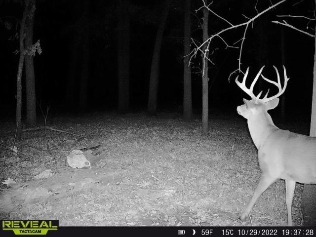 0 Old River Road Rockville, MO 64780 - Photo 65 of 70