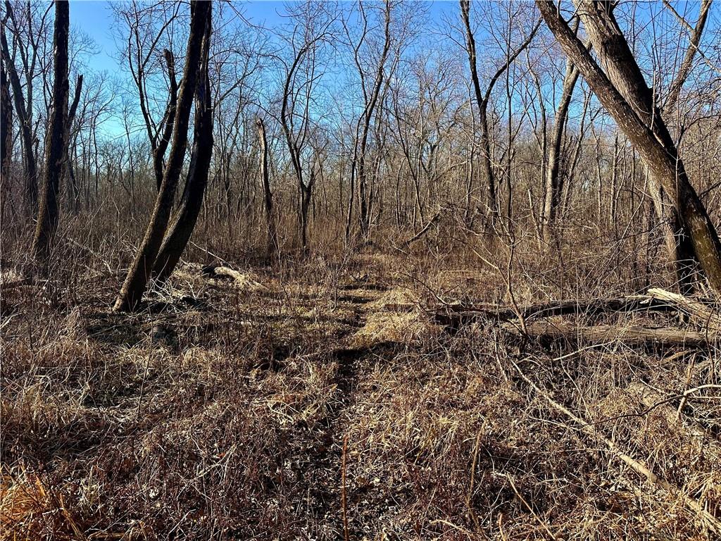 0 Old River Road Rockville, MO 64780 - Photo 8 of 70