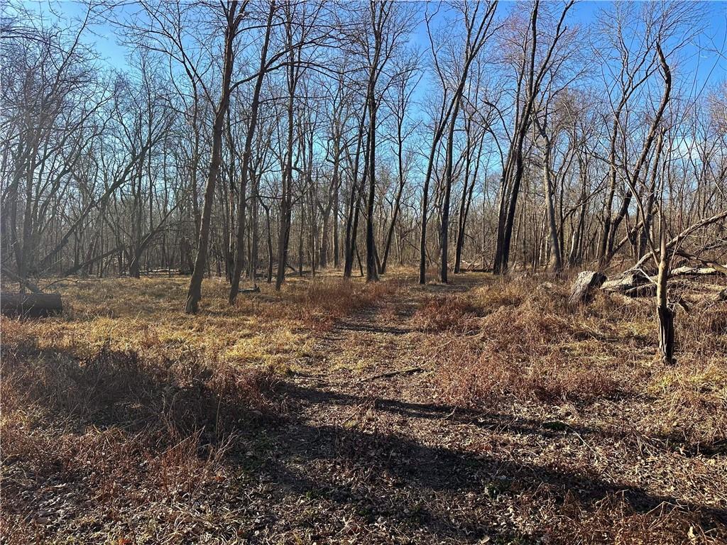0 Old River Road Rockville, MO 64780 - Photo 8 of 46