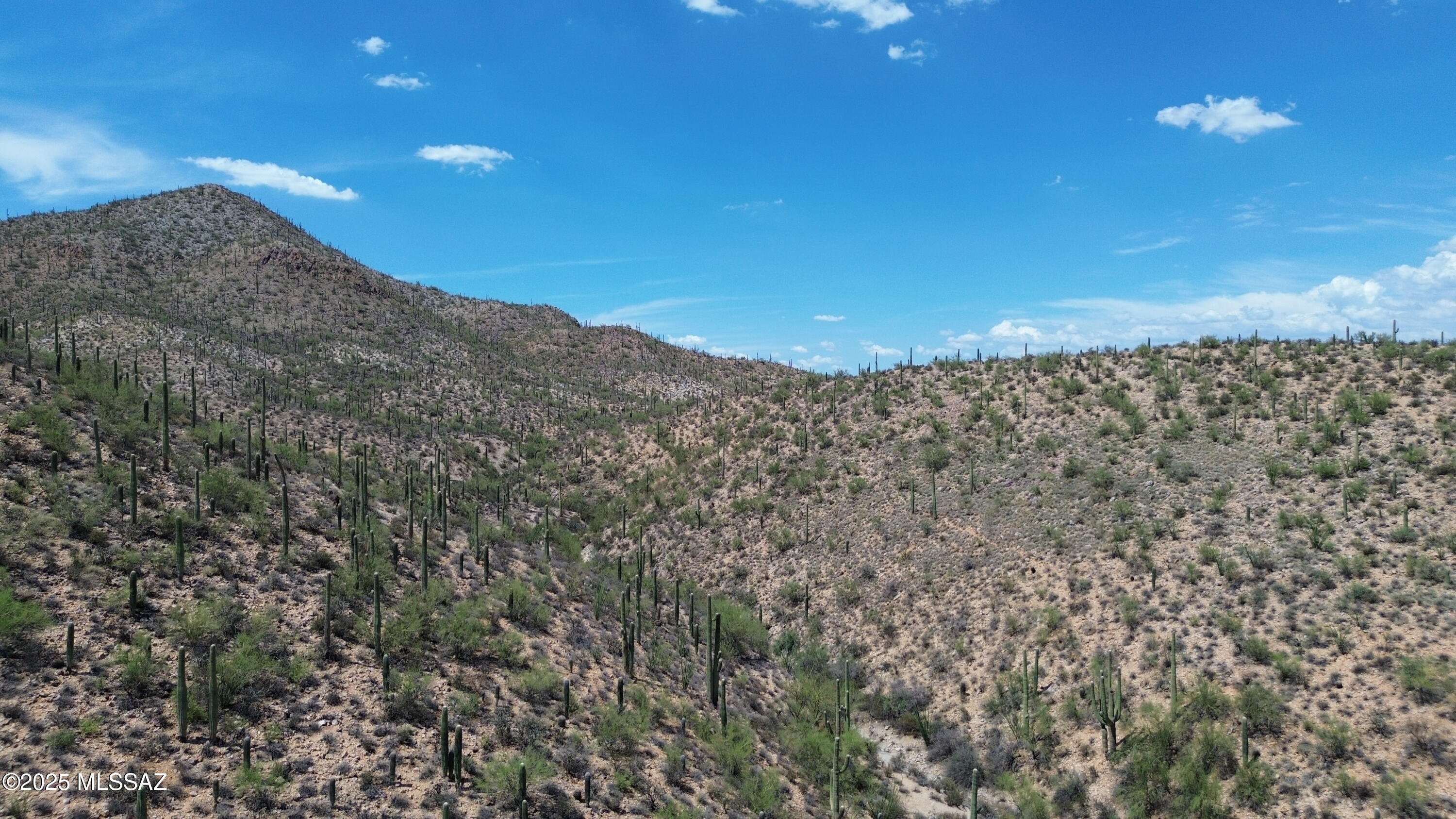475 South Hotel Service Road Tucson, AZ 85745 - Photo 30 of 49 DJI_0718
