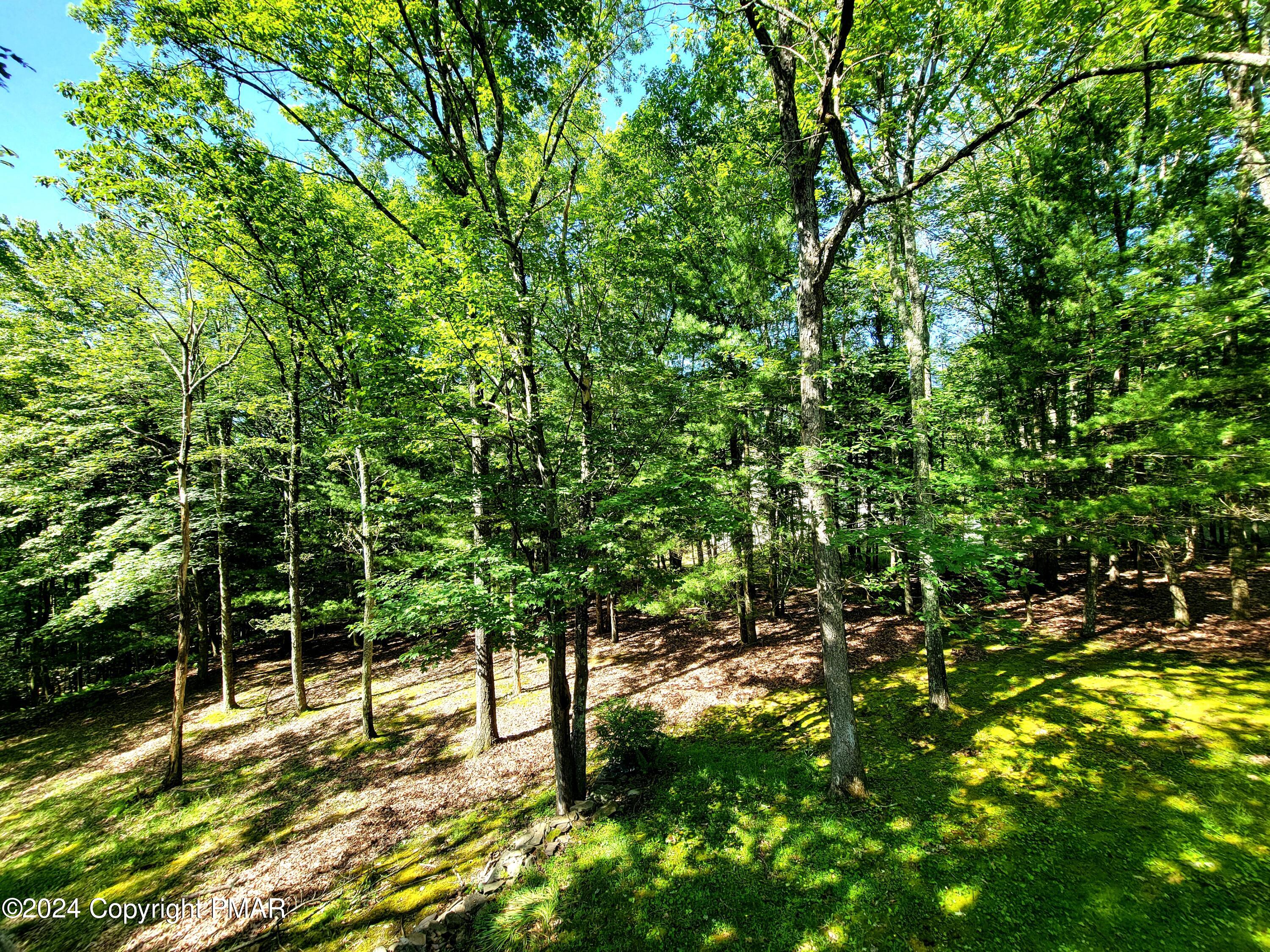 288 Five Springs Road Stroudsburg, PA 18360 - Photo 30 of 38 20240607_095136