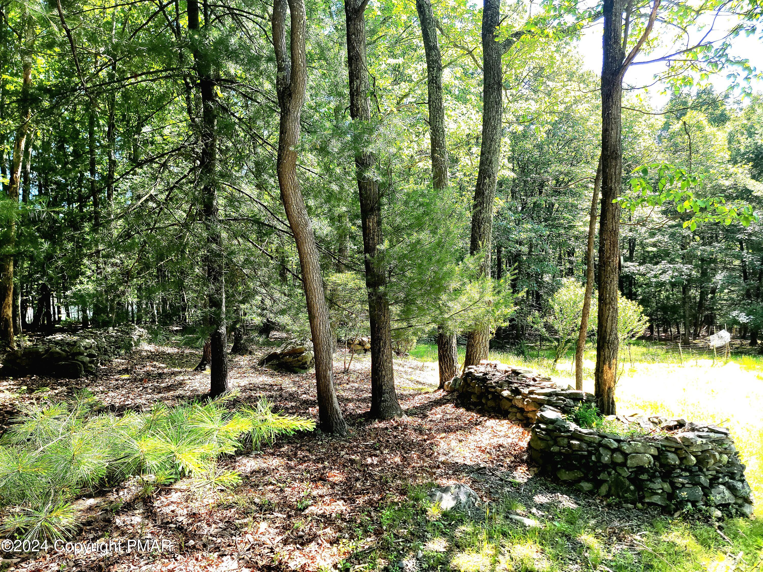 288 Five Springs Road Stroudsburg, PA 18360 - Photo 31 of 38 20240607_102430