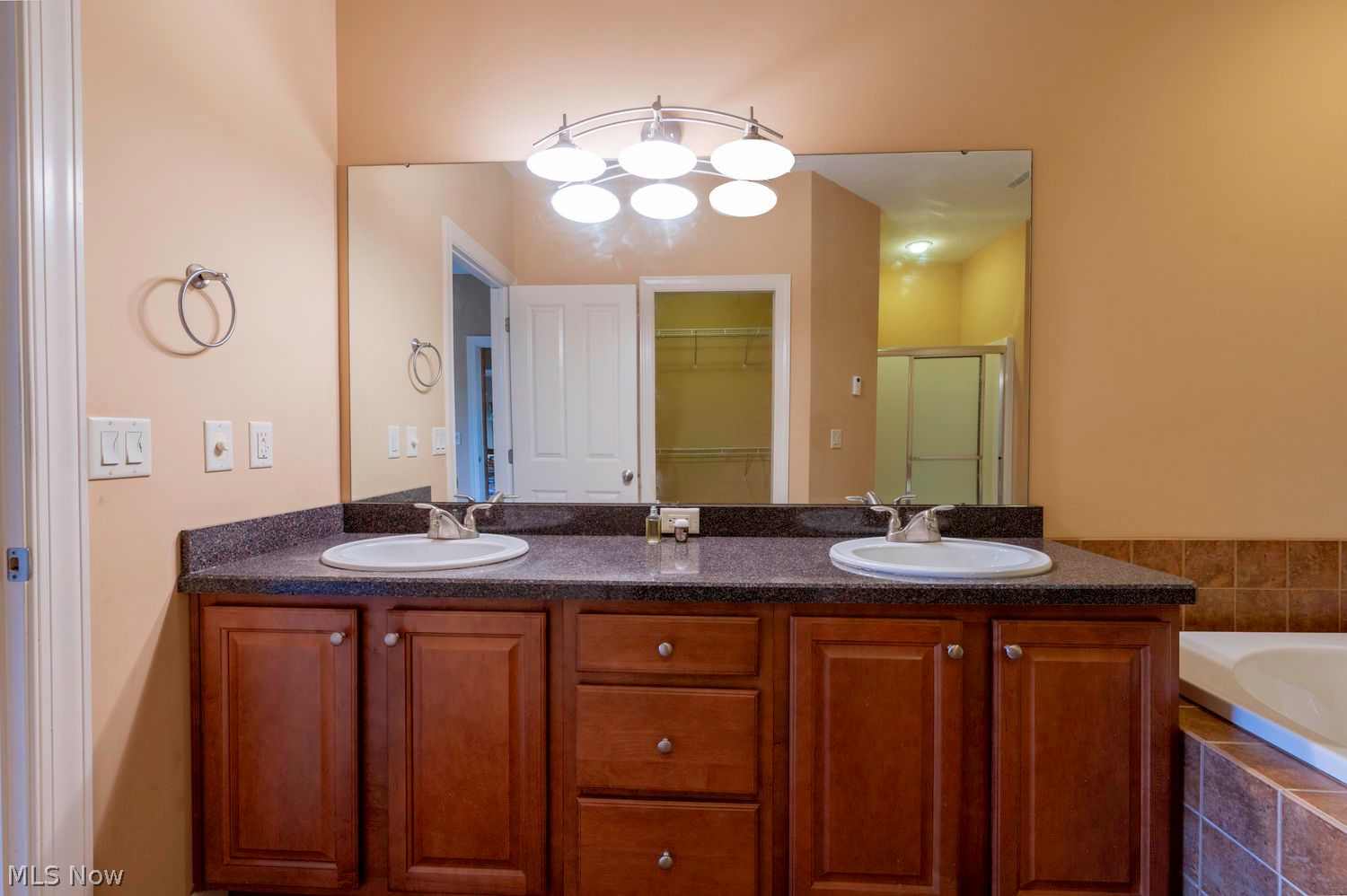 604 Rundle Street Lagrange, OH 44050 - Photo 23 of 45 double sinks primary bathroom