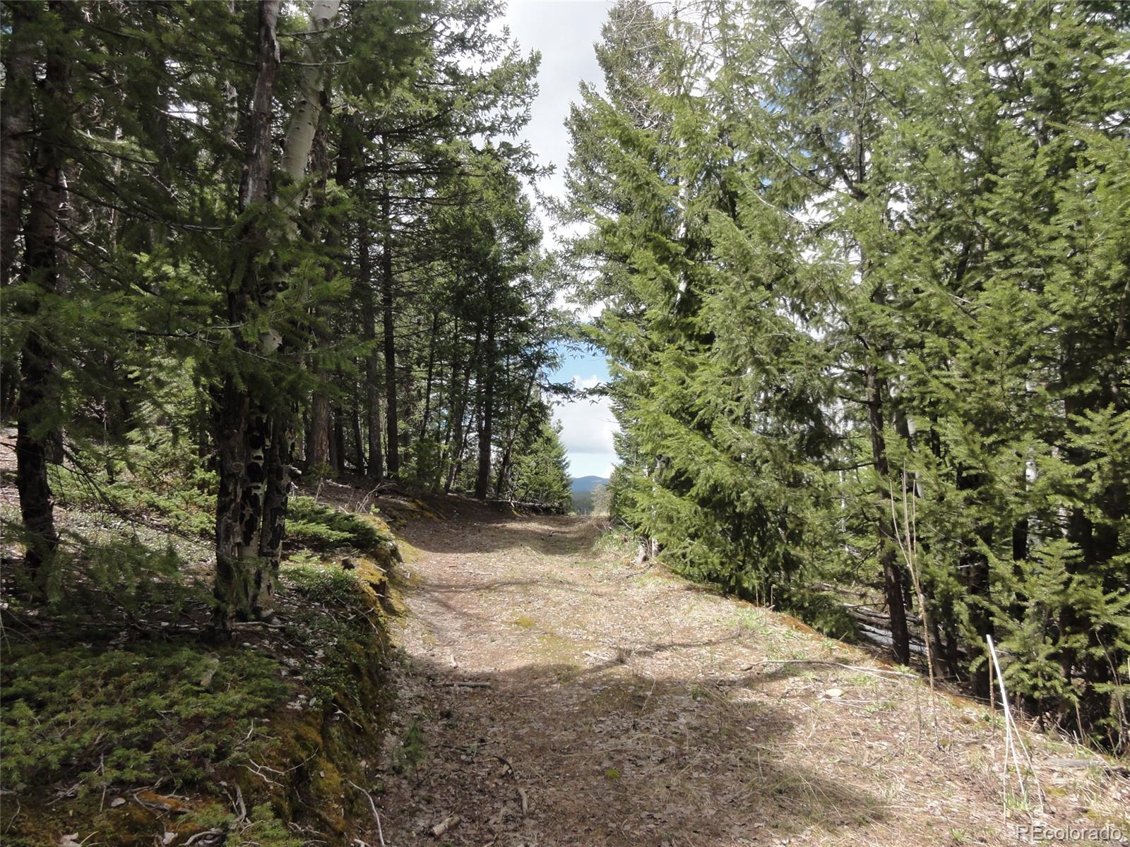 26897 Evergreen Springs Road Evergreen, CO 80439 - Photo 11 of 30