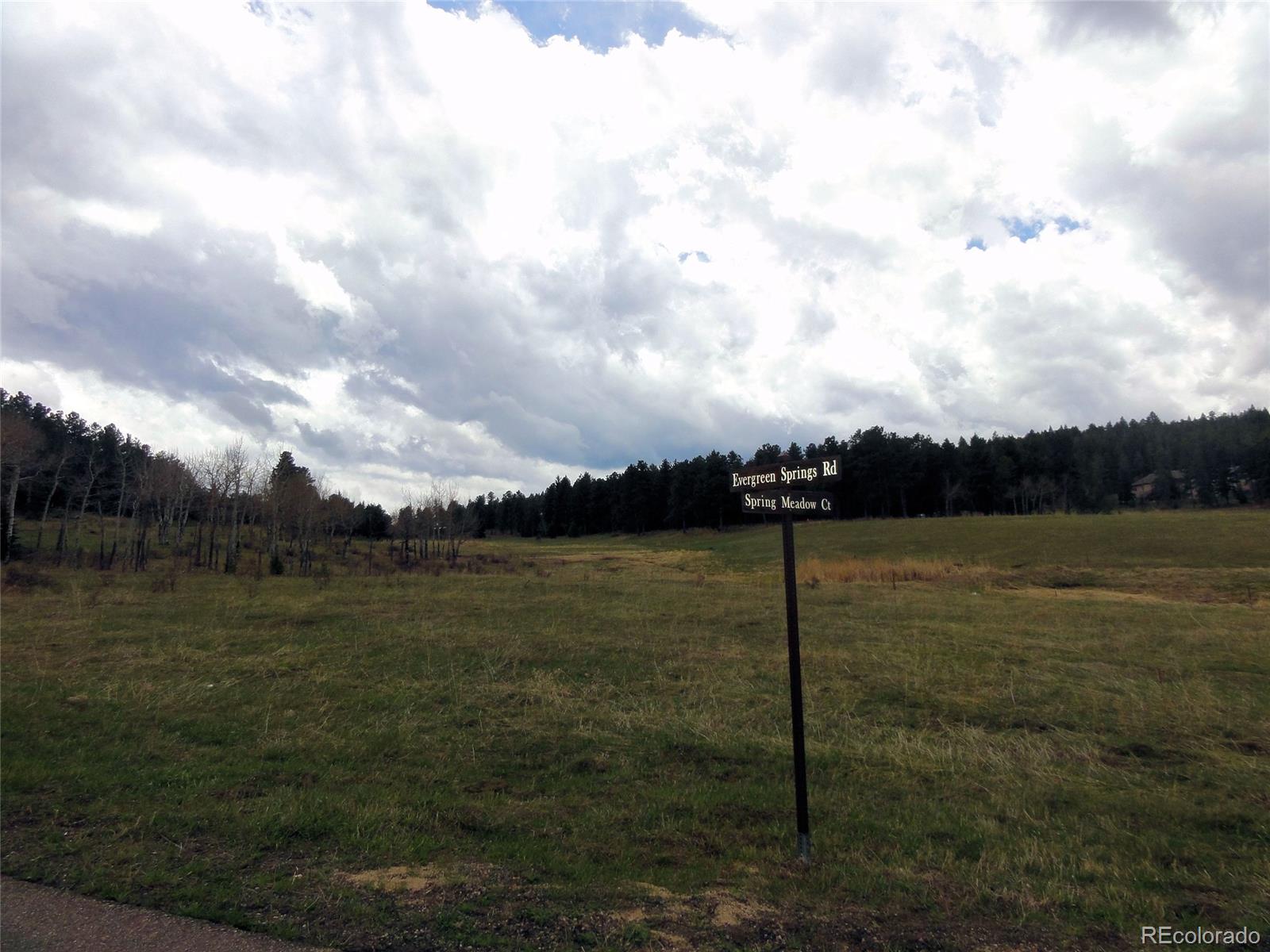 26897 Evergreen Springs Road Evergreen, CO 80439 - Photo 19 of 30