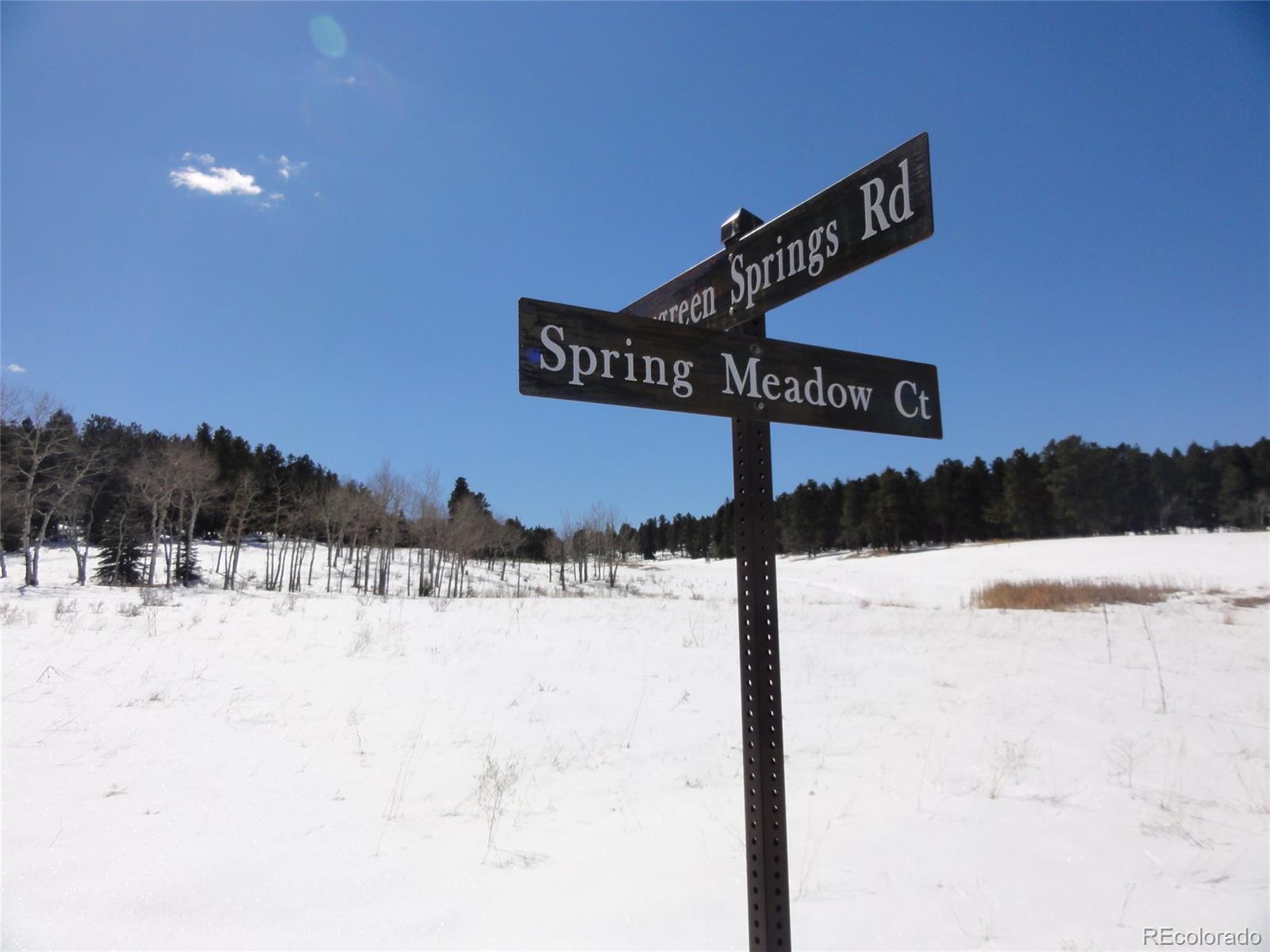 26897 Evergreen Springs Road Evergreen, CO 80439 - Photo 20 of 30