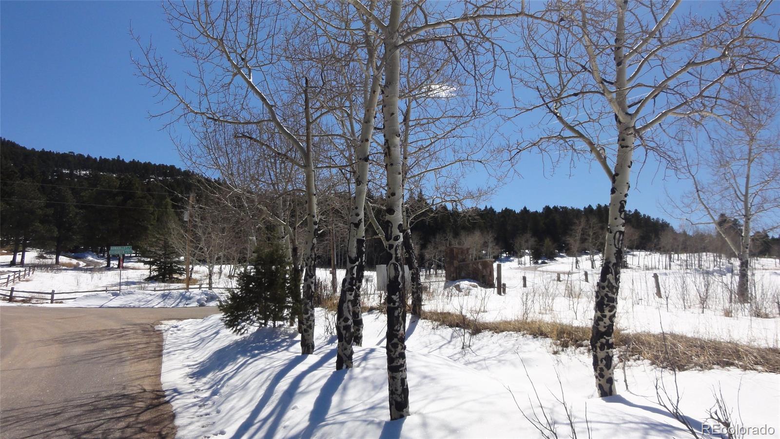 26897 Evergreen Springs Road Evergreen, CO 80439 - Photo 22 of 30
