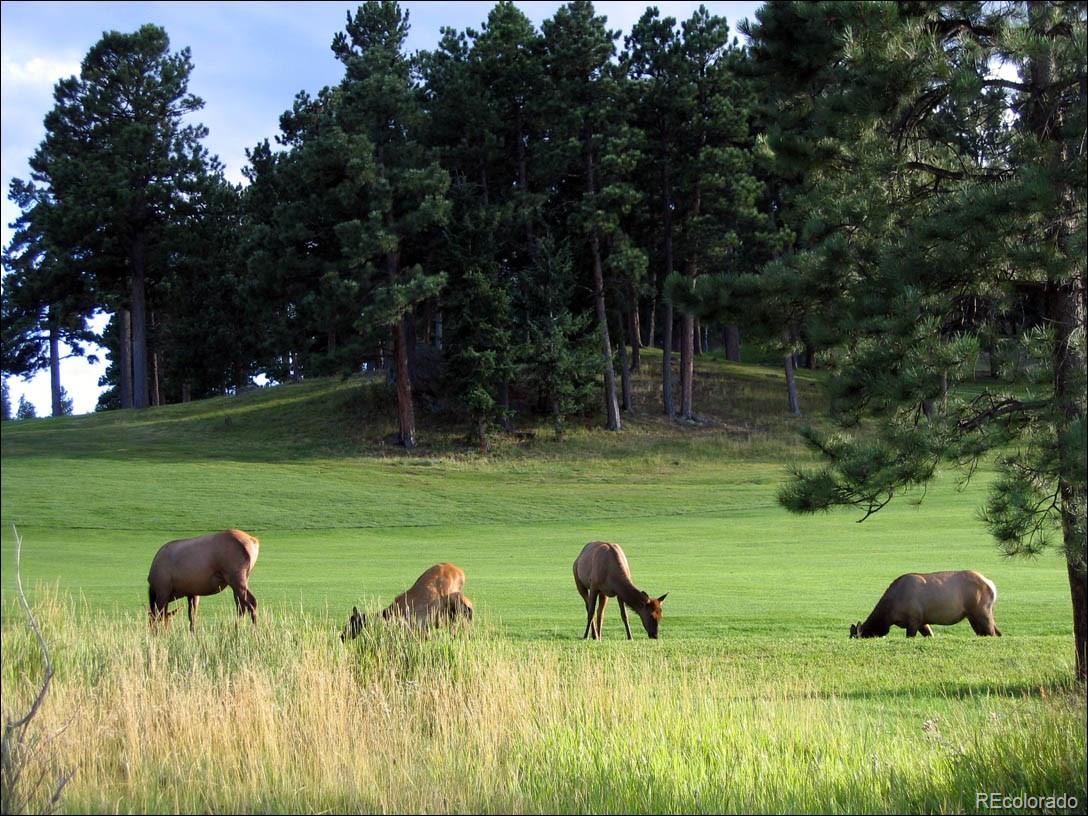 26897 Evergreen Springs Road Evergreen, CO 80439 - Photo 27 of 30