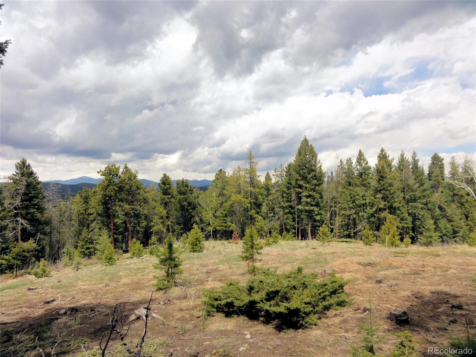 26897 Evergreen Springs Road Evergreen, CO 80439 - Photo 3 of 30