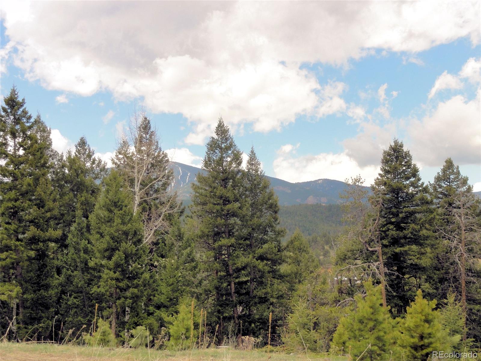 26897 Evergreen Springs Road Evergreen, CO 80439 - Photo 4 of 30