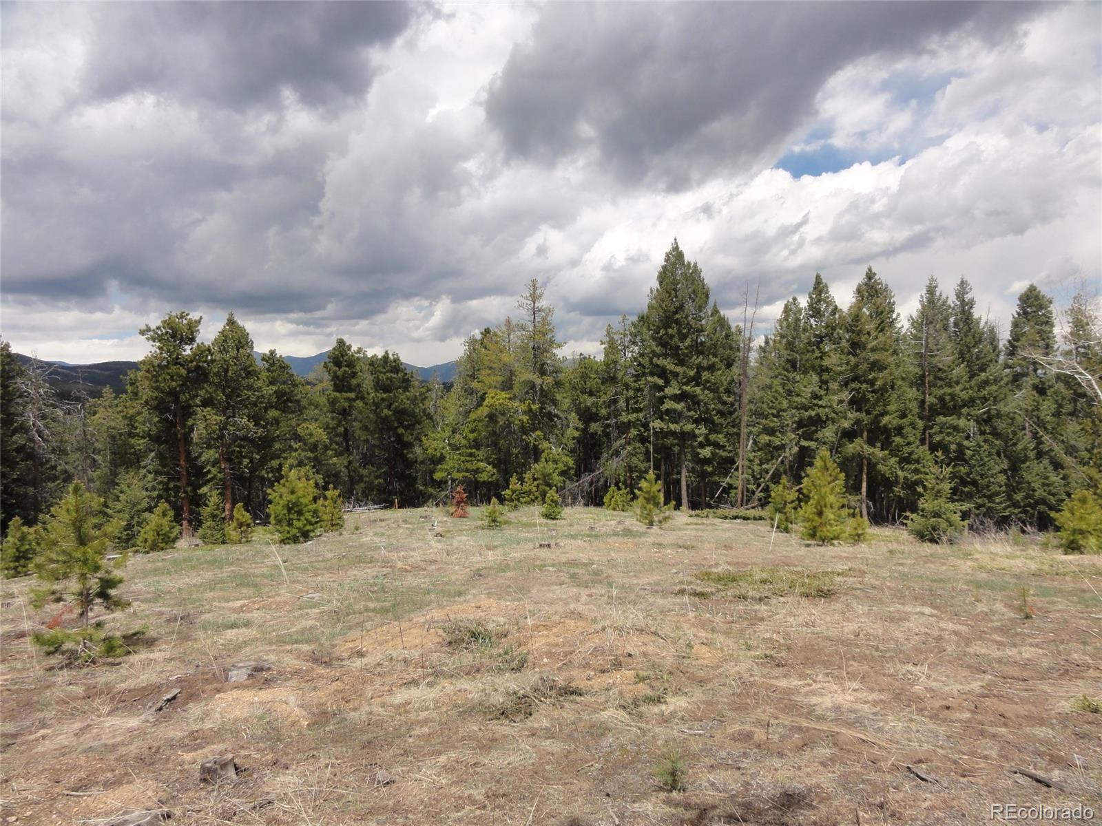 26897 Evergreen Springs Road Evergreen, CO 80439 - Photo 5 of 30