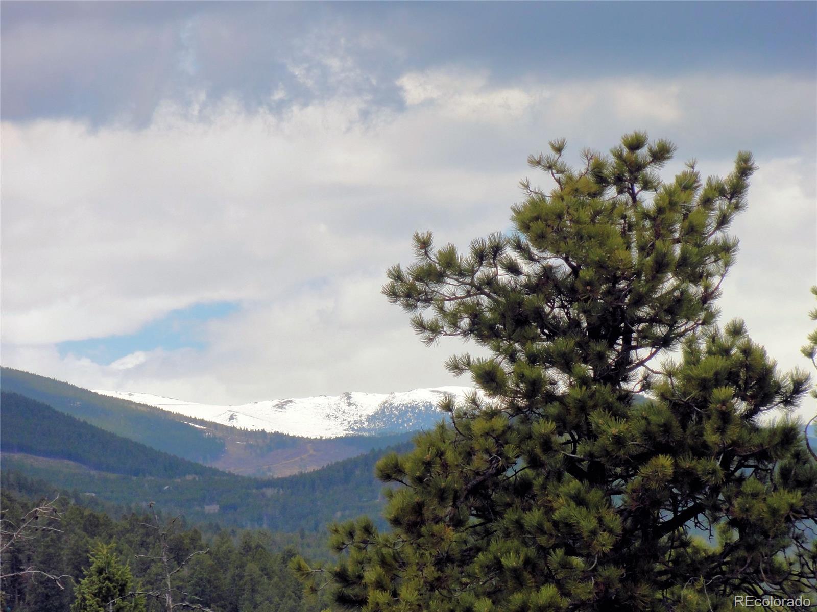 26897 Evergreen Springs Road Evergreen, CO 80439 - Photo 6 of 30