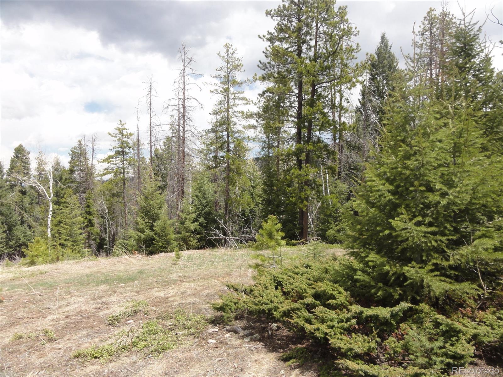 26897 Evergreen Springs Road Evergreen, CO 80439 - Photo 7 of 30