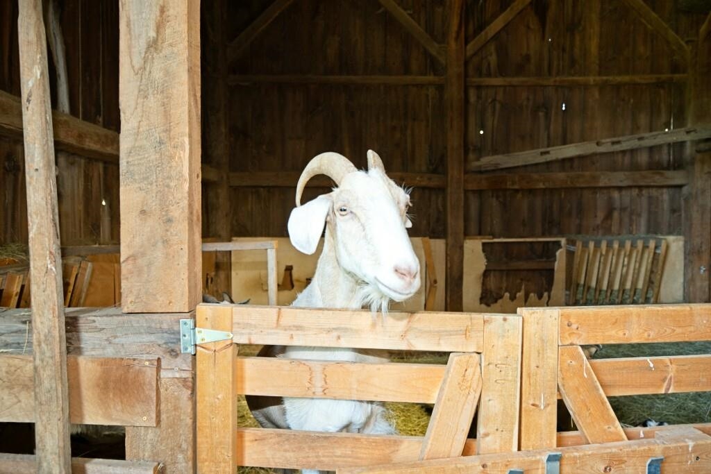 175 Washington Road Rye, NH 03870 - Photo 15 of 36 Gallery Image 15