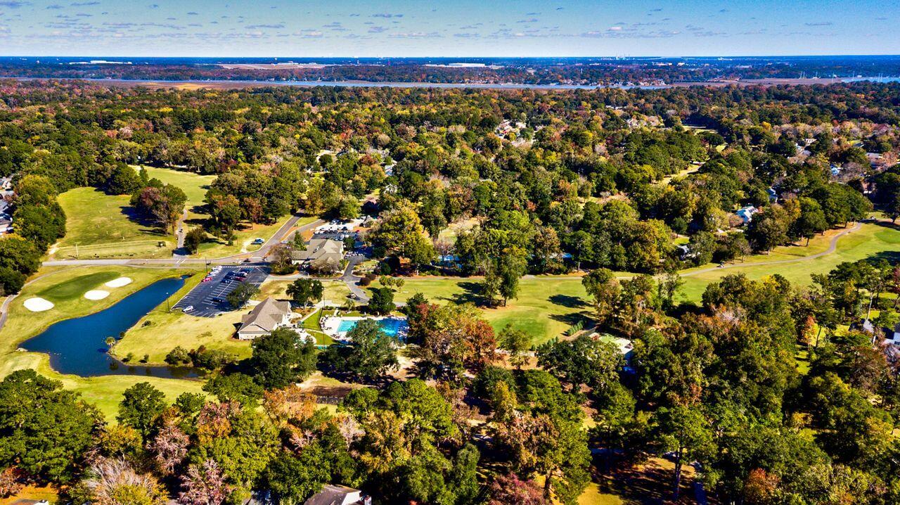 190 Droos Way Charleston, SC 29414 - Photo 31 of 31 31.Aerial View