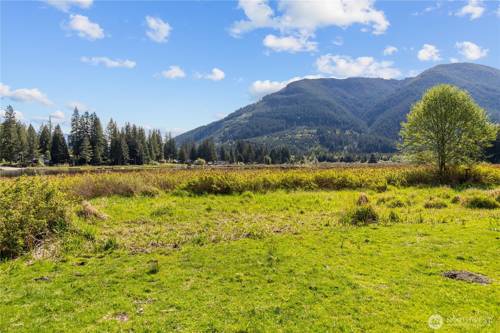 27525 West Lake Riley Road Arlington, WA 98223 - Photo 10 of 40 a view of a yard with swimming pool