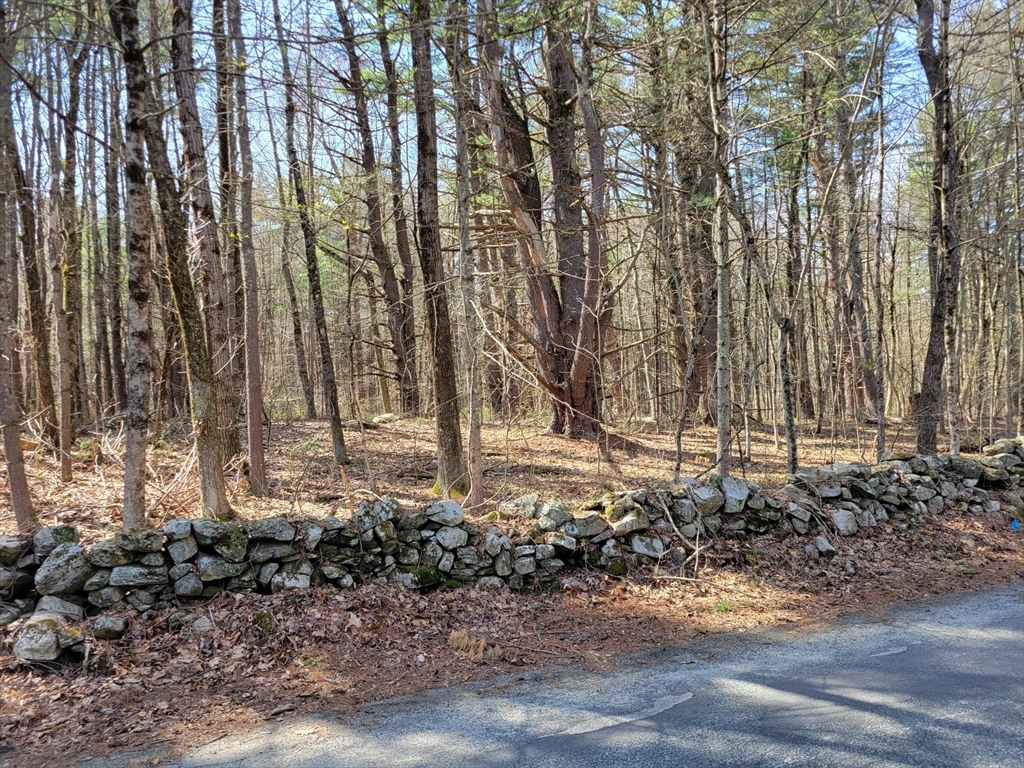 Lot 4 Daniels Road Dudley, MA 01571 - Photo 3 of 3 Gallery Image 3