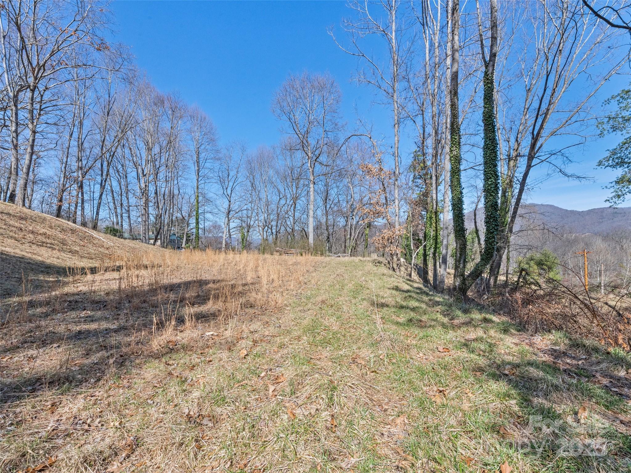 157 Harveys Mountain Road Clyde, NC 28721 - Photo 1 of 16 a view of a yard with trees