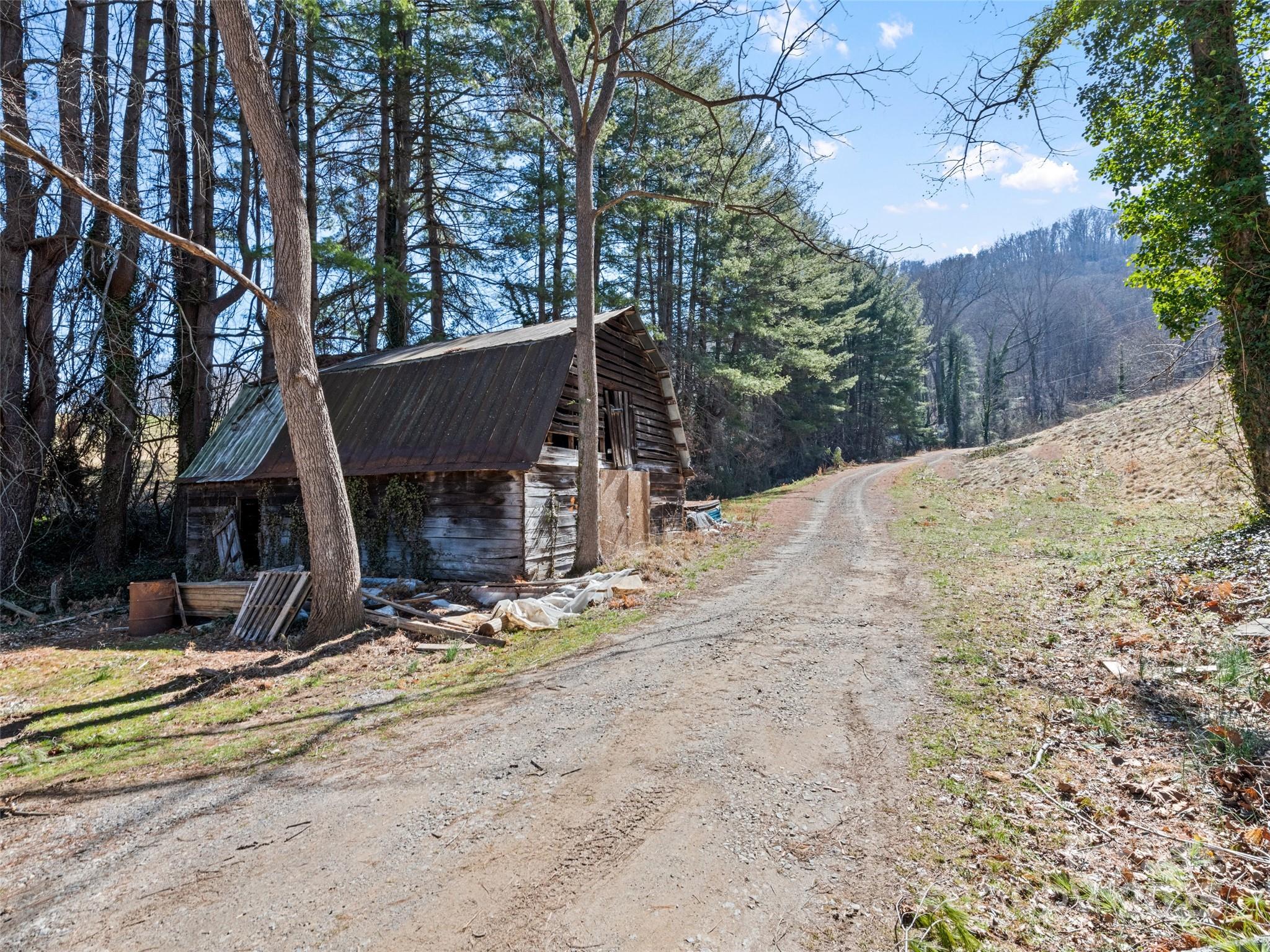 157 Harveys Mountain Road Clyde, NC 28721 - Photo 11 of 16 a view of a backyard with large trees