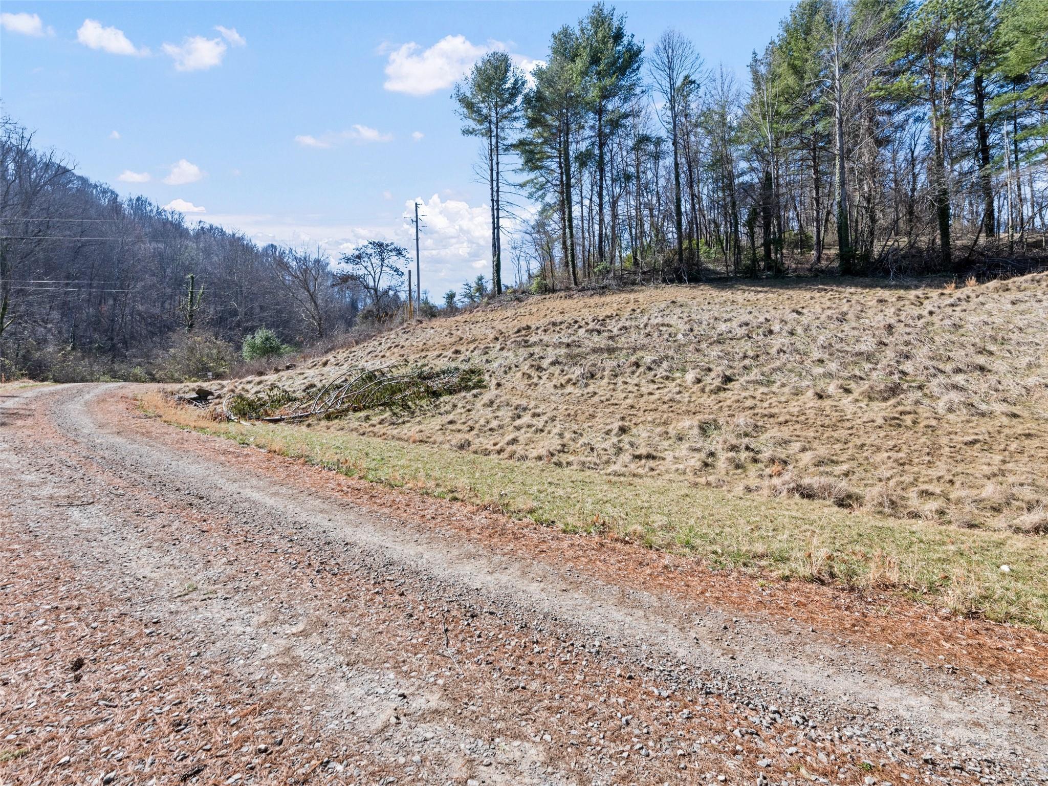 157 Harveys Mountain Road Clyde, NC 28721 - Photo 12 of 16 a view of a yard with a house