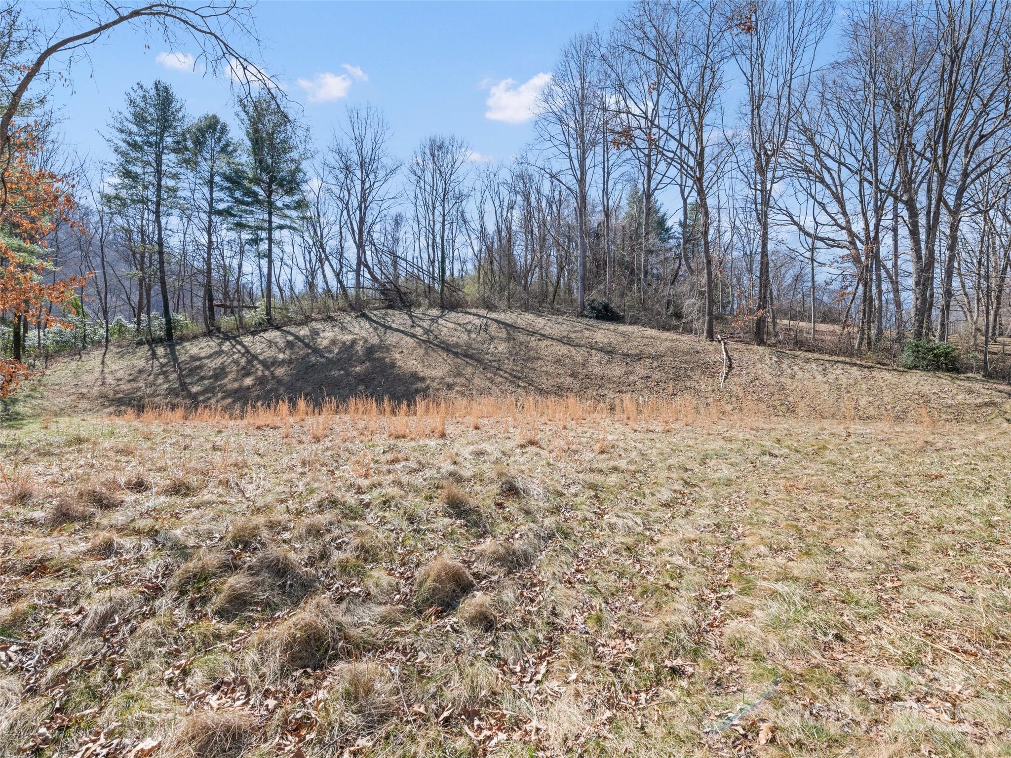 157 Harveys Mountain Road Clyde, NC 28721 - Photo 14 of 16 a view of a yard with trees
