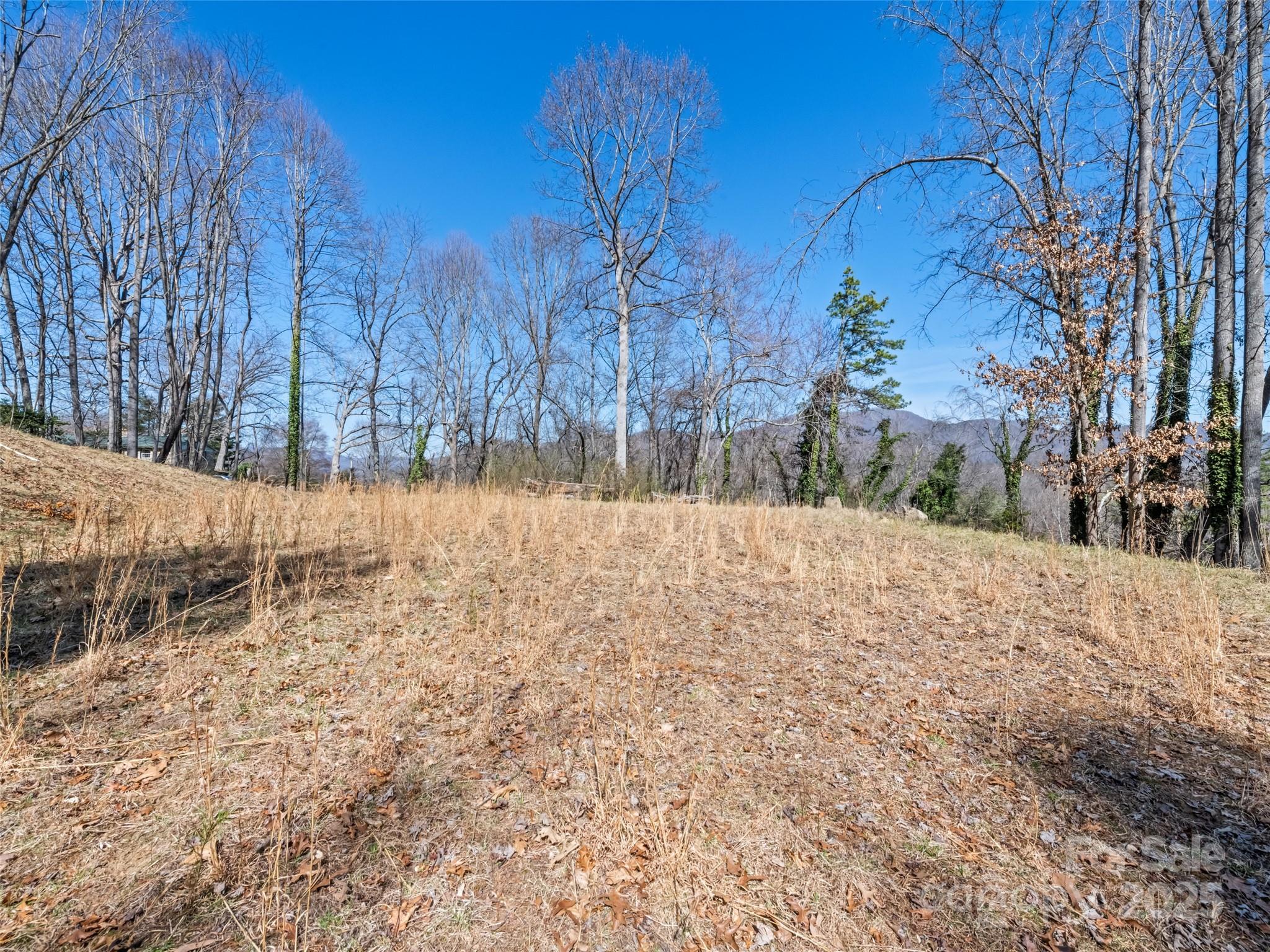 157 Harveys Mountain Road Clyde, NC 28721 - Photo 16 of 16 a view of snow on the side of a road