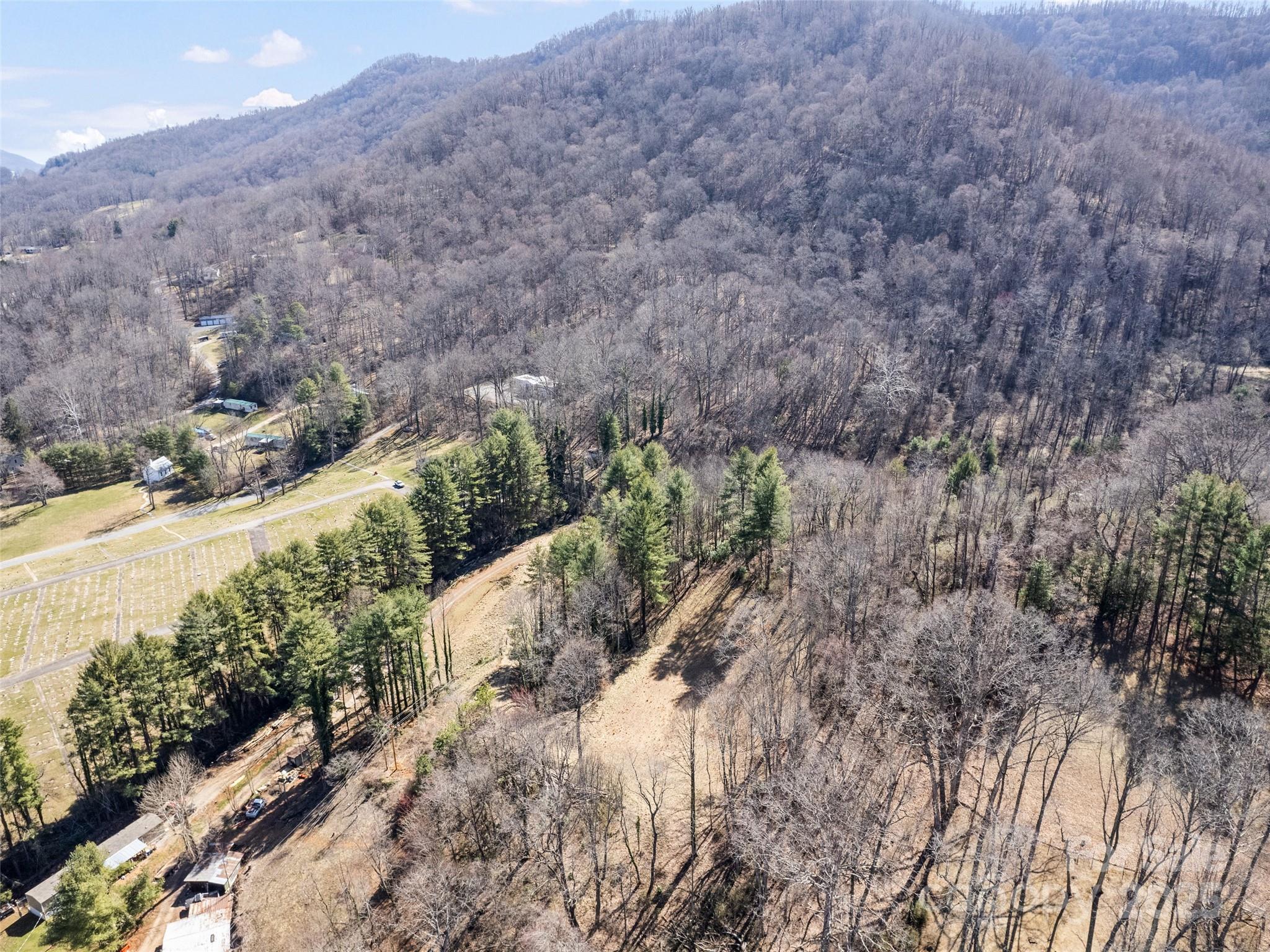 157 Harveys Mountain Road Clyde, NC 28721 - Photo 3 of 16 a view of a yard with a mountain