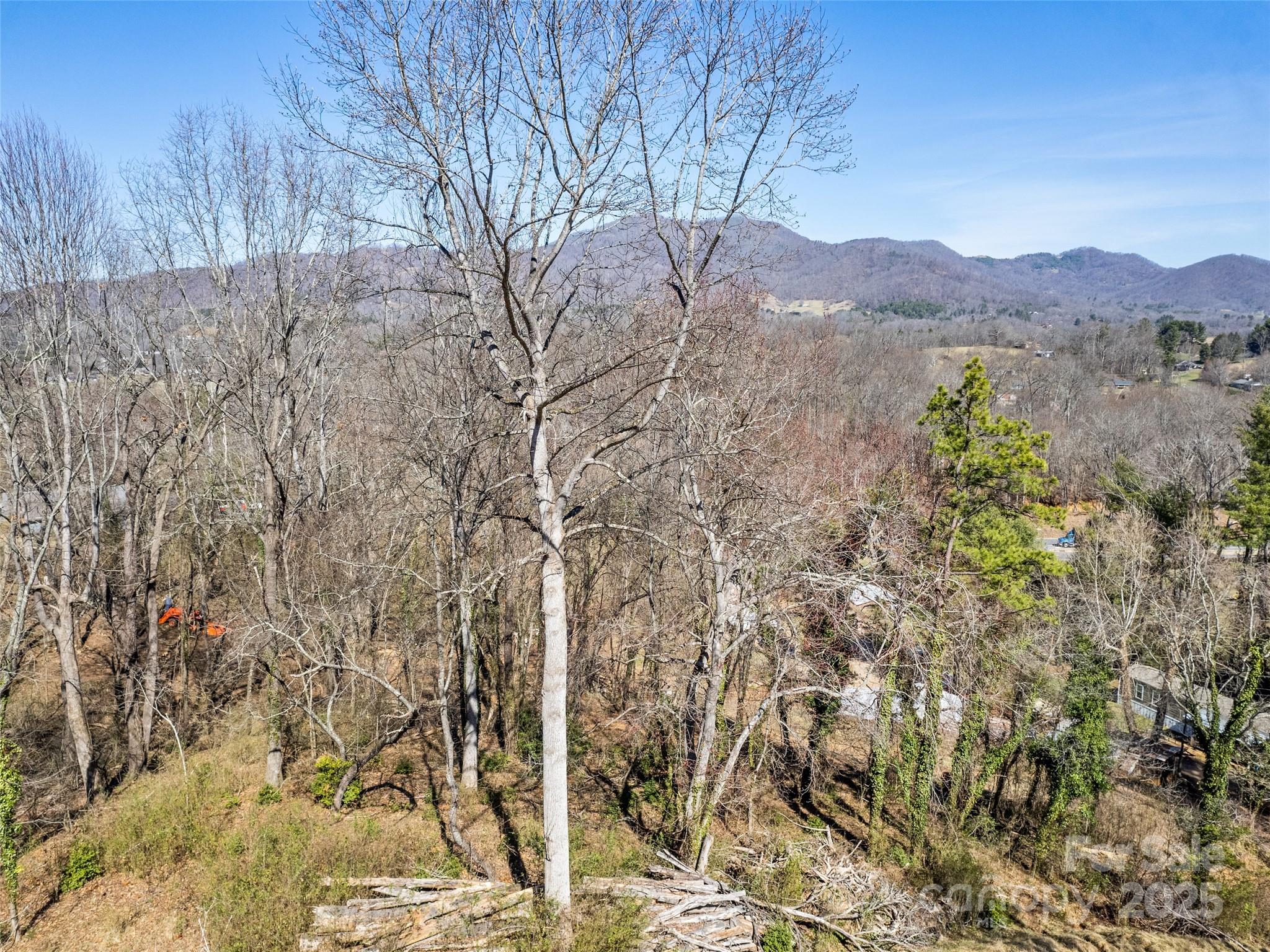 157 Harveys Mountain Road Clyde, NC 28721 - Photo 8 of 16 a view of mountain view with lots of trees