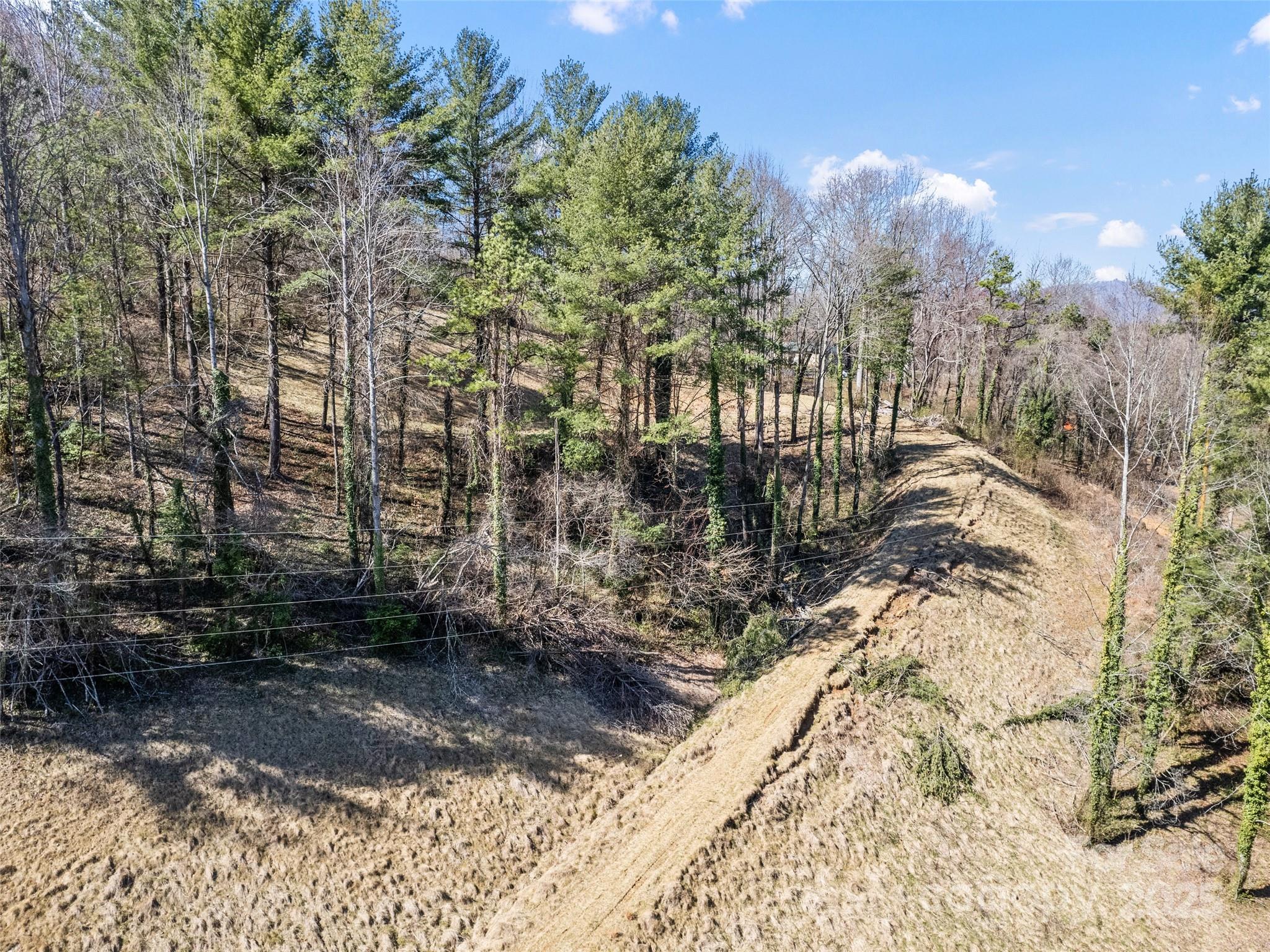 157 Harveys Mountain Road Clyde, NC 28721 - Photo 10 of 16 a view of outdoor space and yard