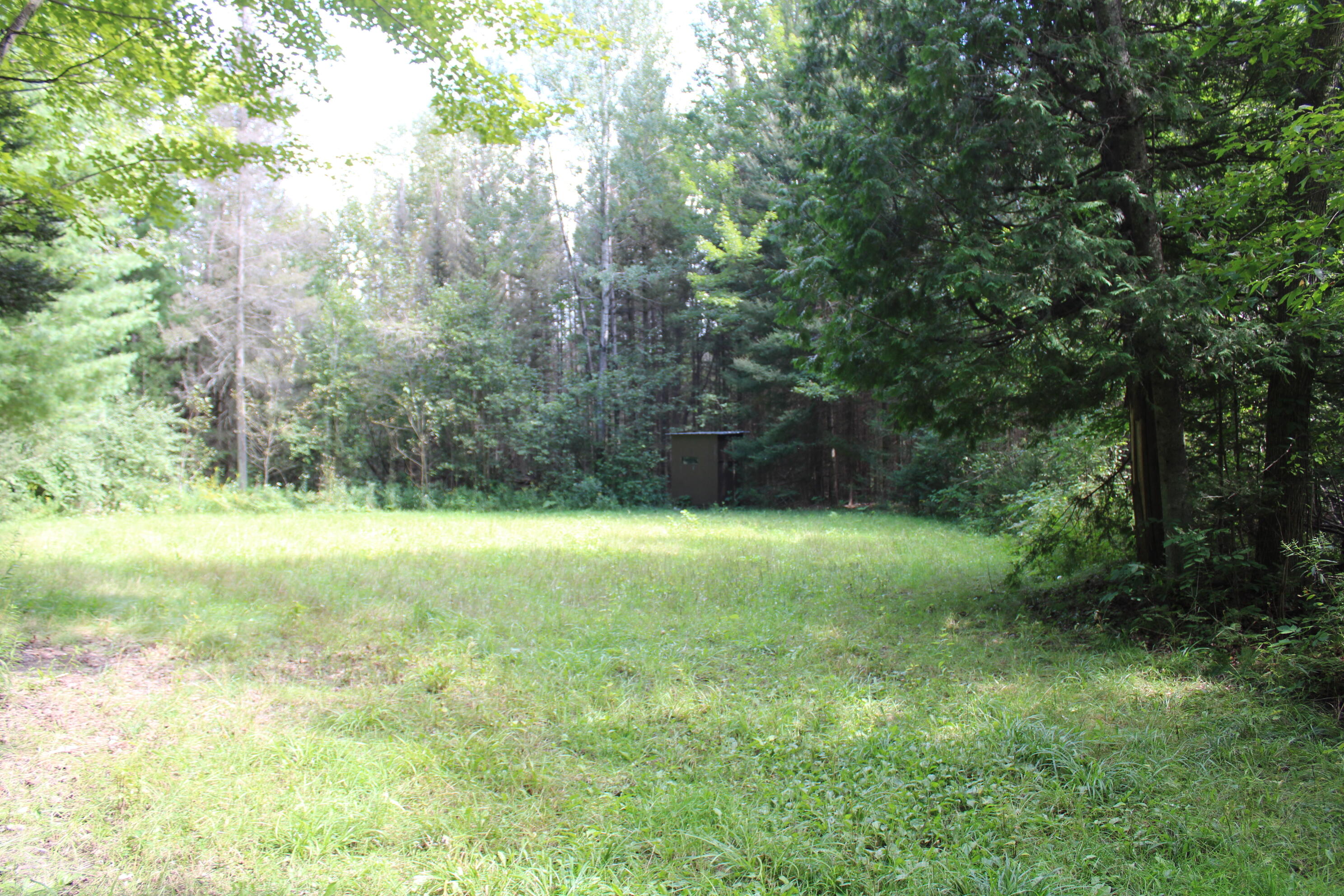 6720 Welch Road Curran, MI 48728 - Photo 151 of 155 IMG_6283