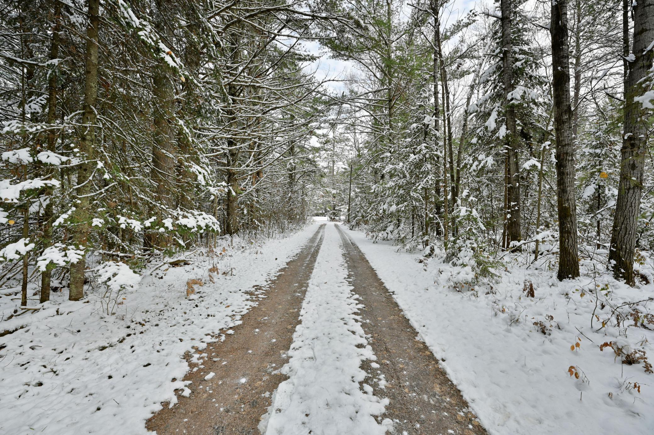 2-acres Stark Road Hayward, WI 54843 - Photo 1 of 1 Gallery Image 1
