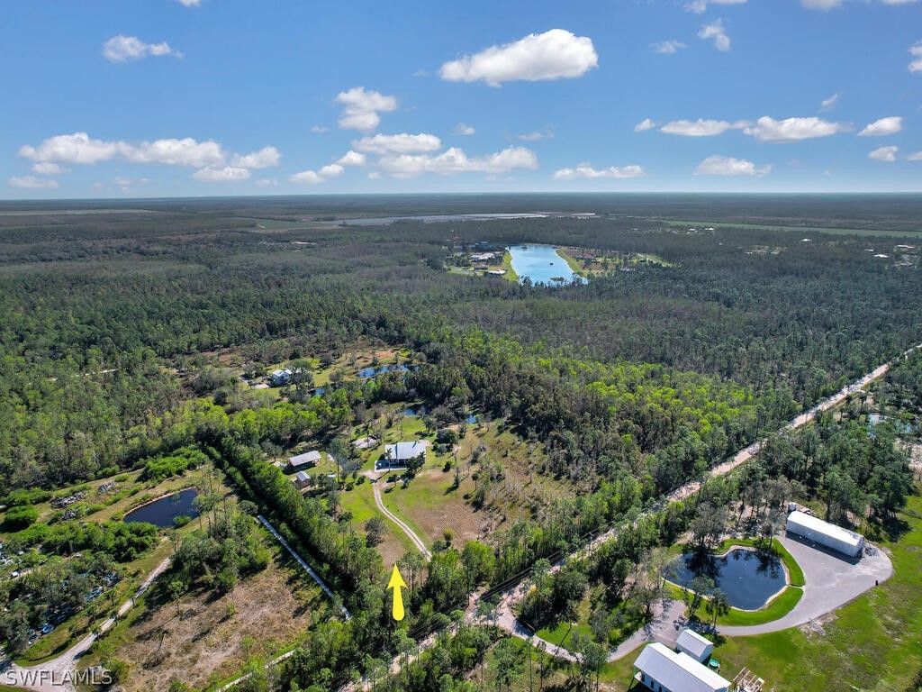 20401 Carter Road Estero, FL 33928 - Photo 3 of 42 a view of a lake in middle of the forest