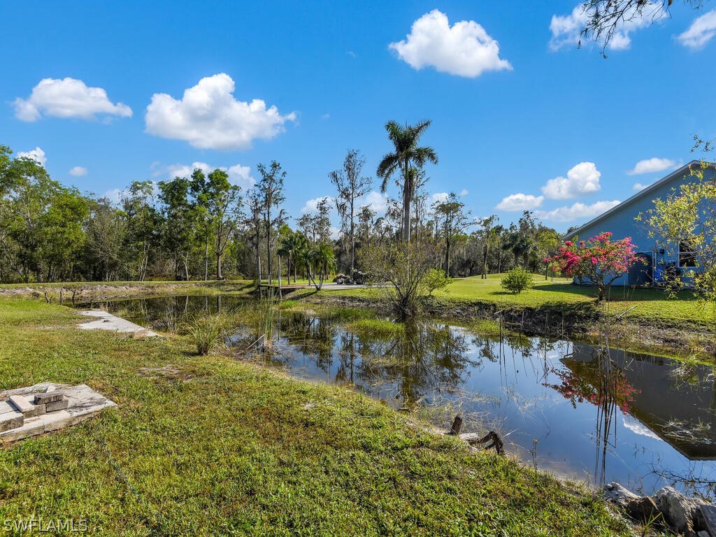 20401 Carter Road Estero, FL 33928 - Photo 36 of 42 a view of a lake in middle of the building and trees