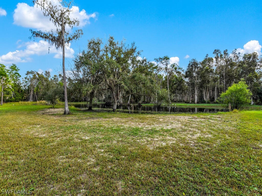 20401 Carter Road Estero, FL 33928 - Photo 37 of 42 a view of a field with a tree in the background