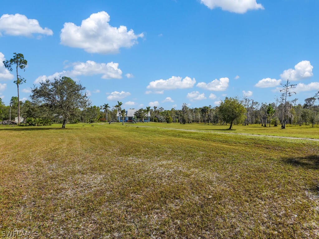 20401 Carter Road Estero, FL 33928 - Photo 38 of 42 a view of a big yard
