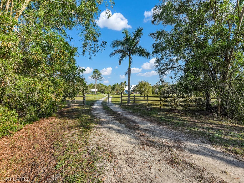 20401 Carter Road Estero, FL 33928 - Photo 40 of 42 a view of a yard