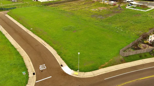 a view of a swimming pool with a garden and trees