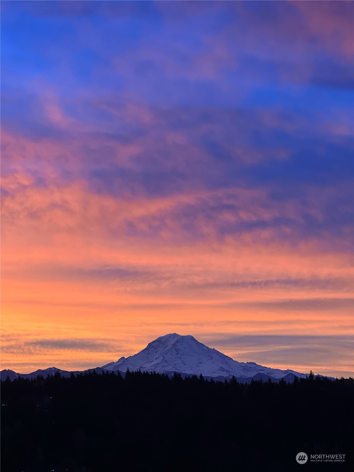 16004 24th Street East Lake Tapps, WA 98391 - Photo 32 of 32 a view of sunset