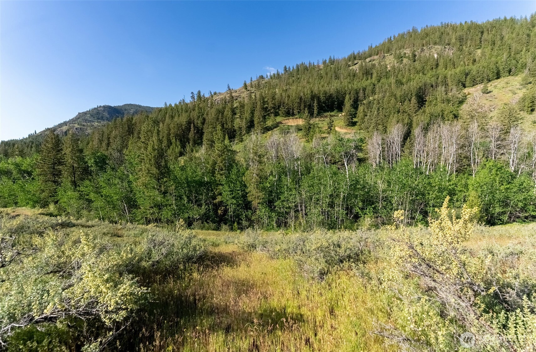 -tbd Alder Road Twisp, WA 98856 - Photo 38 of 39