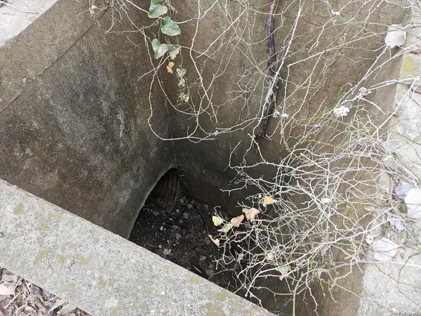 a close up of a shower in a bathroom