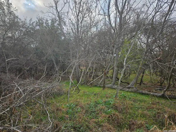 a backyard of a house with lots of plants and trees